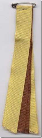 HOAC Brownsea Patrol Ribbon 1